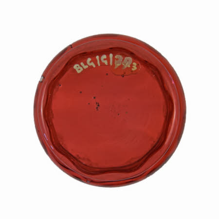 Mr Straw's House, Endcliffe Villa © National Trust / John William Brown