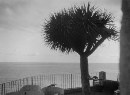 Shaw’s Corner. Reproduced with kind permission of LSE, The National Trust, and The Society of Authors on behalf of the Bernard Shaw Estate.   © National Trust 