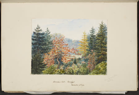 Norcliffe, Coles, Ivy Cottage, Bollington, 1845 - 1860