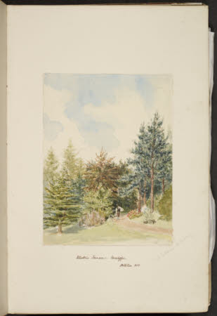 Norcliffe, Coles, Ivy Cottage, Bollington, 1845 - 1860