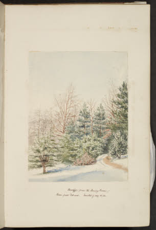Norcliffe, Coles, Ivy Cottage, Bollington, 1845 - 1860