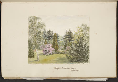 Norcliffe, Coles, Ivy Cottage, Bollington, 1845 - 1860
