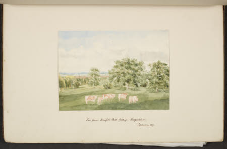 Norcliffe, Coles, Ivy Cottage, Bollington 1845 - 1860