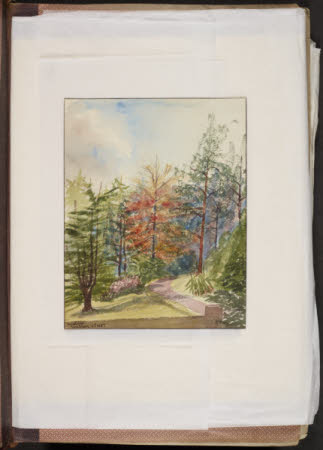 Norcliffe, Coles, Ivy Cottage, Bollington 1845 - 1860