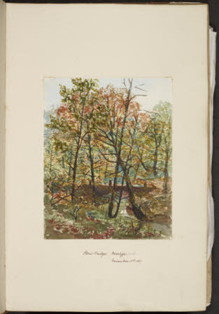 Norcliffe, Coles, Ivy Cottage, Bollington, 1845 - 1860