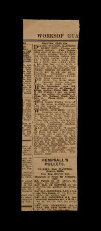 Mr Straw's House, Endcliffe Villa © National Trust / John William Brown