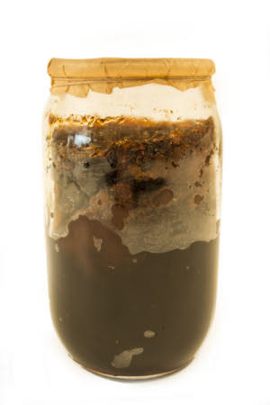 Mr Straw's House, Endcliffe Villa © National Trust / Jules Foster 