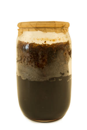 Mr Straw's House, Endcliffe Villa © National Trust / Jules Foster