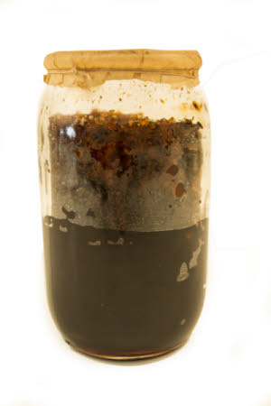 Mr Straw's House, Endcliffe Villa © National Trust / Jules Foster