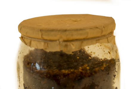 Mr Straw's House, Endcliffe Villa © National Trust / Jules Foster