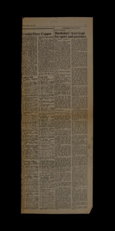 Mr Straw's House, Endcliffe Villa © National Trust / John William Brown