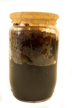 Mr Straw's House, Endcliffe Villa © National Trust / Jules Foster