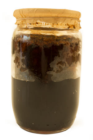 Mr Straw's House, Endcliffe Villa © National Trust / Jules Foster