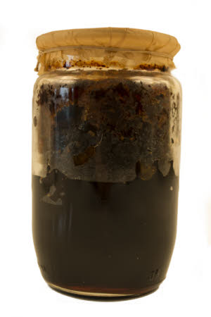 Mr Straw's House, Endcliffe Villa © National Trust / Jules Foster