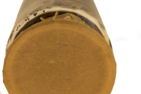 Mr Straw's House, Endcliffe Villa © National Trust / Jules Foster