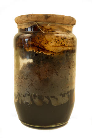 Mr Straw's House, Endcliffe Villa © National Trust / Jules Foster