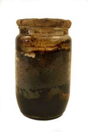 Mr Straw's House, Endcliffe Villa © National Trust / Jules Foster