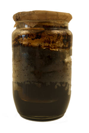 Mr Straw's House, Endcliffe Villa © National Trust / Jules Foster