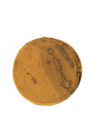 Mr Straw's House, Endcliffe Villa © National Trust / Jules Foster