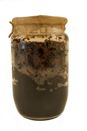 Mr Straw's House, Endcliffe Villa © National Trust / Jules Foster