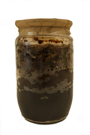 Mr Straw's House, Endcliffe Villa © National Trust / Jules Foster