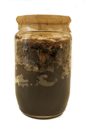 Mr Straw's House, Endcliffe Villa © National Trust / Jules Foster