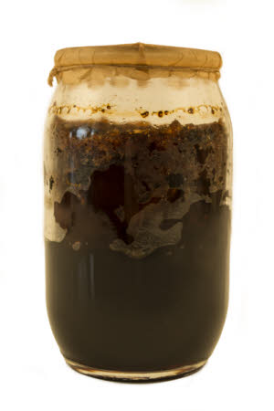 Mr Straw's House, Endcliffe Villa © National Trust / Jules Foster