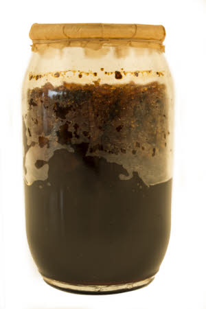 Mr Straw's House, Endcliffe Villa © National Trust / Jules Foster