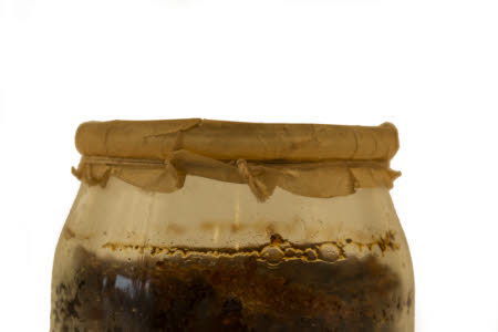 Mr Straw's House, Endcliffe Villa © National Trust / Jules Foster