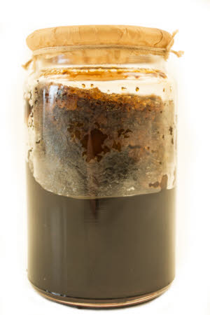 Mr Straw's House, Endcliffe Villa © National Trust / Jules Foster