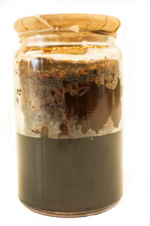 Mr Straw's House, Endcliffe Villa © National Trust / Jules Foster