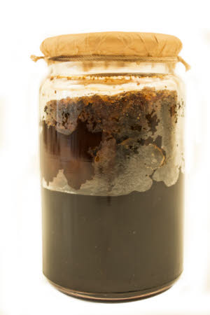 Mr Straw's House, Endcliffe Villa © National Trust / Jules Foster