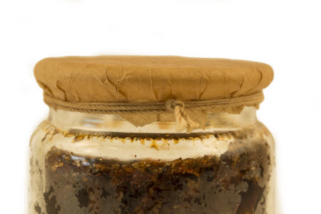 Mr Straw's House, Endcliffe Villa © National Trust / Jules Foster