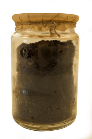 Mr Straw's House, Endcliffe Villa © National Trust / Jules Foster