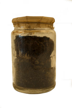 Mr Straw's House, Endcliffe Villa © National Trust / Jules Foster