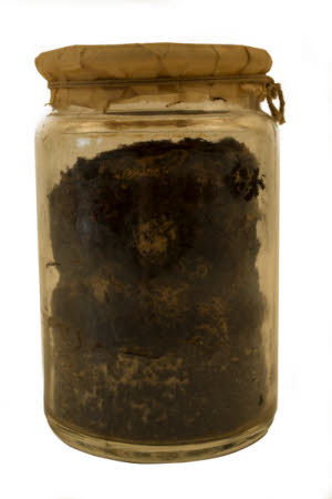 Mr Straw's House, Endcliffe Villa © National Trust / Jules Foster