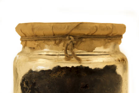 Mr Straw's House, Endcliffe Villa © National Trust / Jules Foster