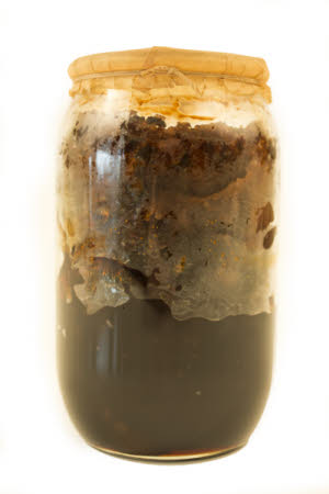 Mr Straw's House, Endcliffe Villa © National Trust / Jules Foster