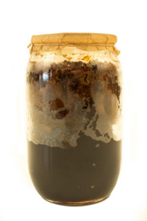 Mr Straw's House, Endcliffe Villa © National Trust / Jules Foster