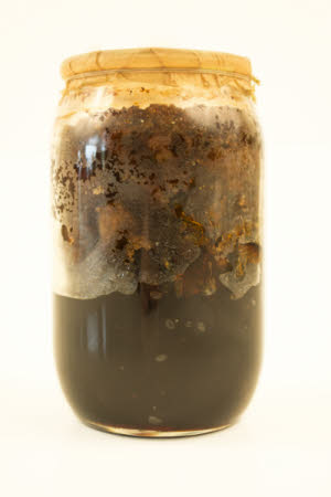 Mr Straw's House, Endcliffe Villa © National Trust / Jules Foster