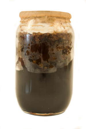 Mr Straw's House, Endcliffe Villa © National Trust / Jules Foster