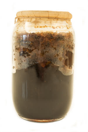 Mr Straw's House, Endcliffe Villa © National Trust / Jules Foster