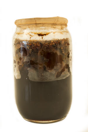 Mr Straw's House, Endcliffe Villa © National Trust / Jules Foster