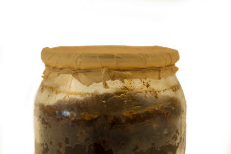 Mr Straw's House, Endcliffe Villa © National Trust / Jules Foster