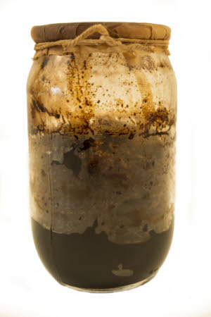 Mr Straw's House, Endcliffe Villa © National Trust / Jules Foster