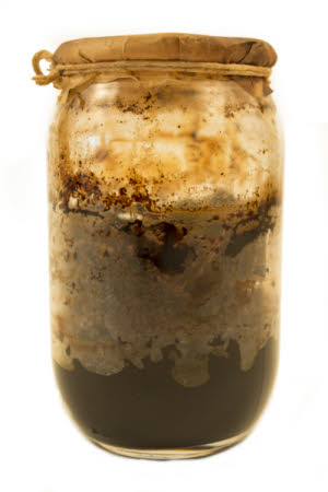 Mr Straw's House, Endcliffe Villa © National Trust / Jules Foster