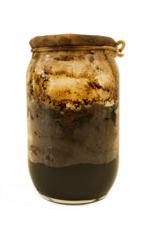 Mr Straw's House, Endcliffe Villa © National Trust / Jules Foster