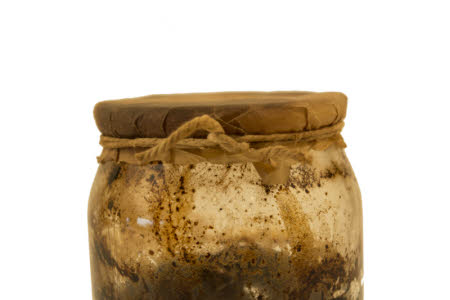 Mr Straw's House, Endcliffe Villa © National Trust / Jules Foster