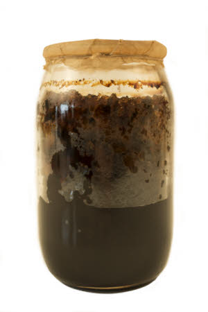 Mr Straw's House, Endcliffe Villa © National Trust / Jules Foster