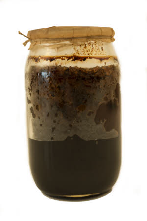 Mr Straw's House, Endcliffe Villa © National Trust / Jules Foster